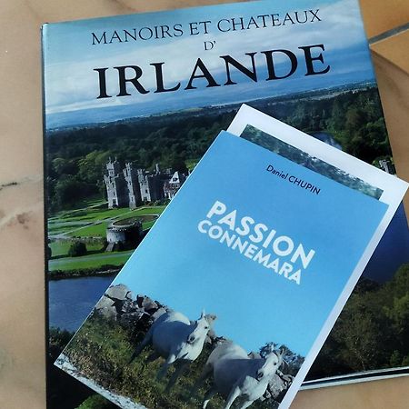 Maison De Campagne Au Coeur D'Un Elevage De Poneys Connemara Le Landreau Zewnętrze zdjęcie