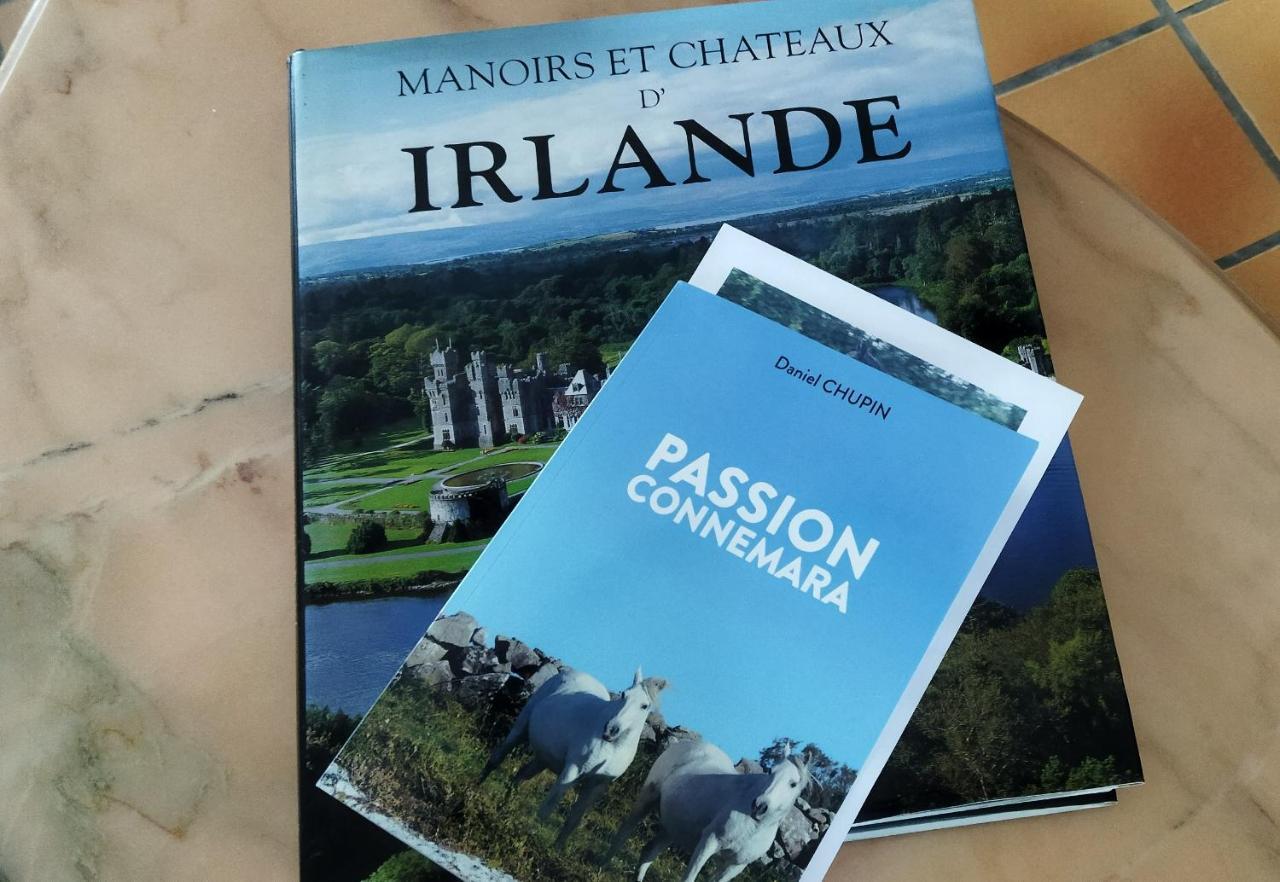 Maison De Campagne Au Coeur D'Un Elevage De Poneys Connemara Le Landreau Zewnętrze zdjęcie
